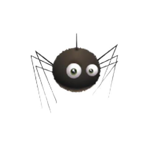 Spider Music